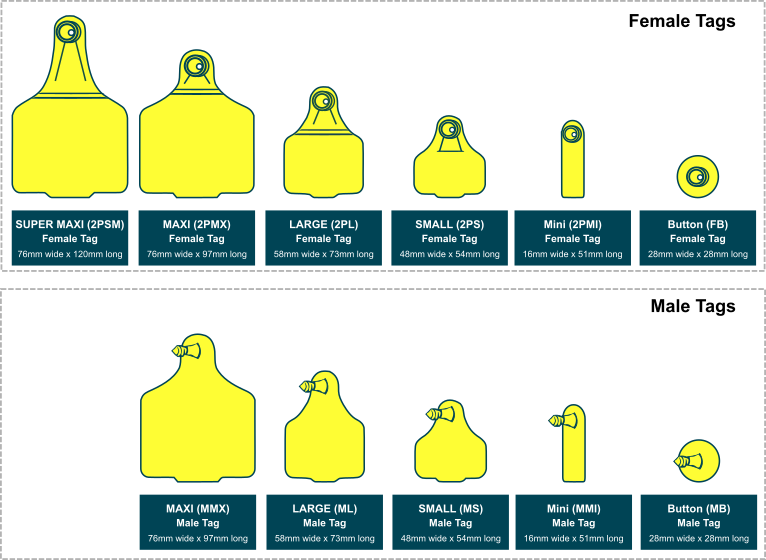 Tag Size Chart - Cattle - Tags Direct Australia