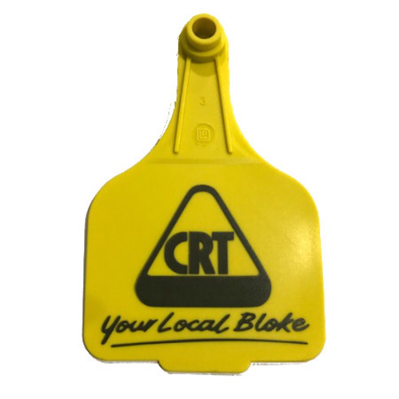 Custom Printed Promotional Tag