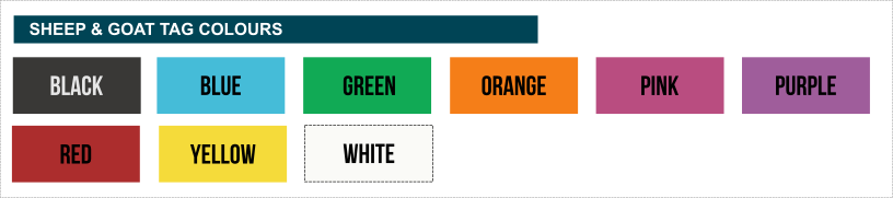 Leadertag Sheep Tag (Non-NLIS) - Tags Direct Australia